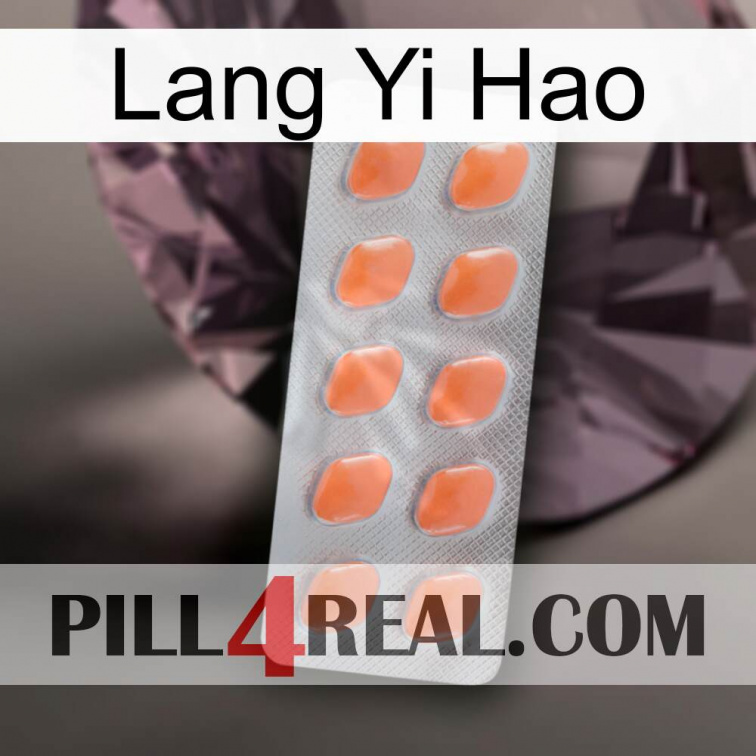 Lang Yi Hao 26